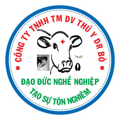DrBo Vietnam