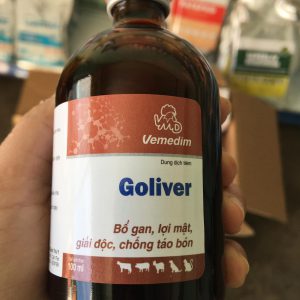 Goliver 2