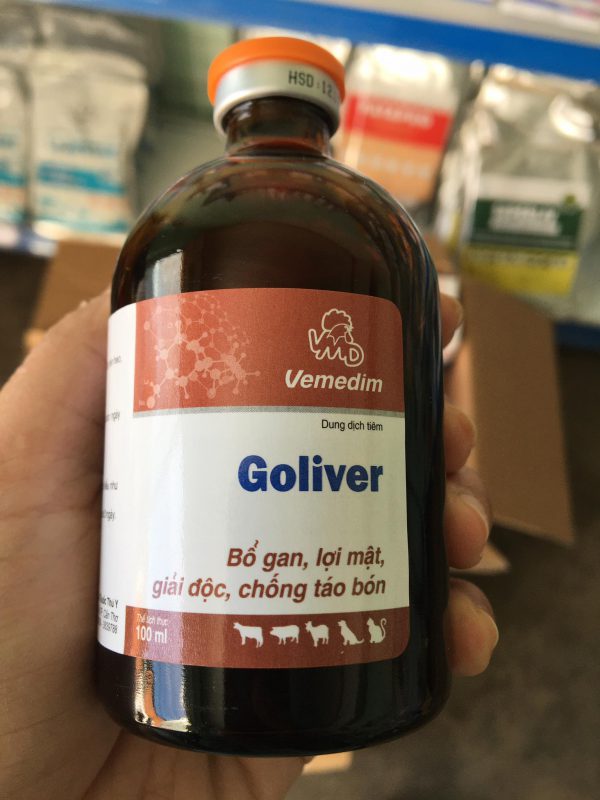 Goliver 2