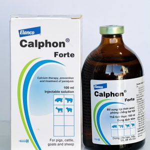 Calphon